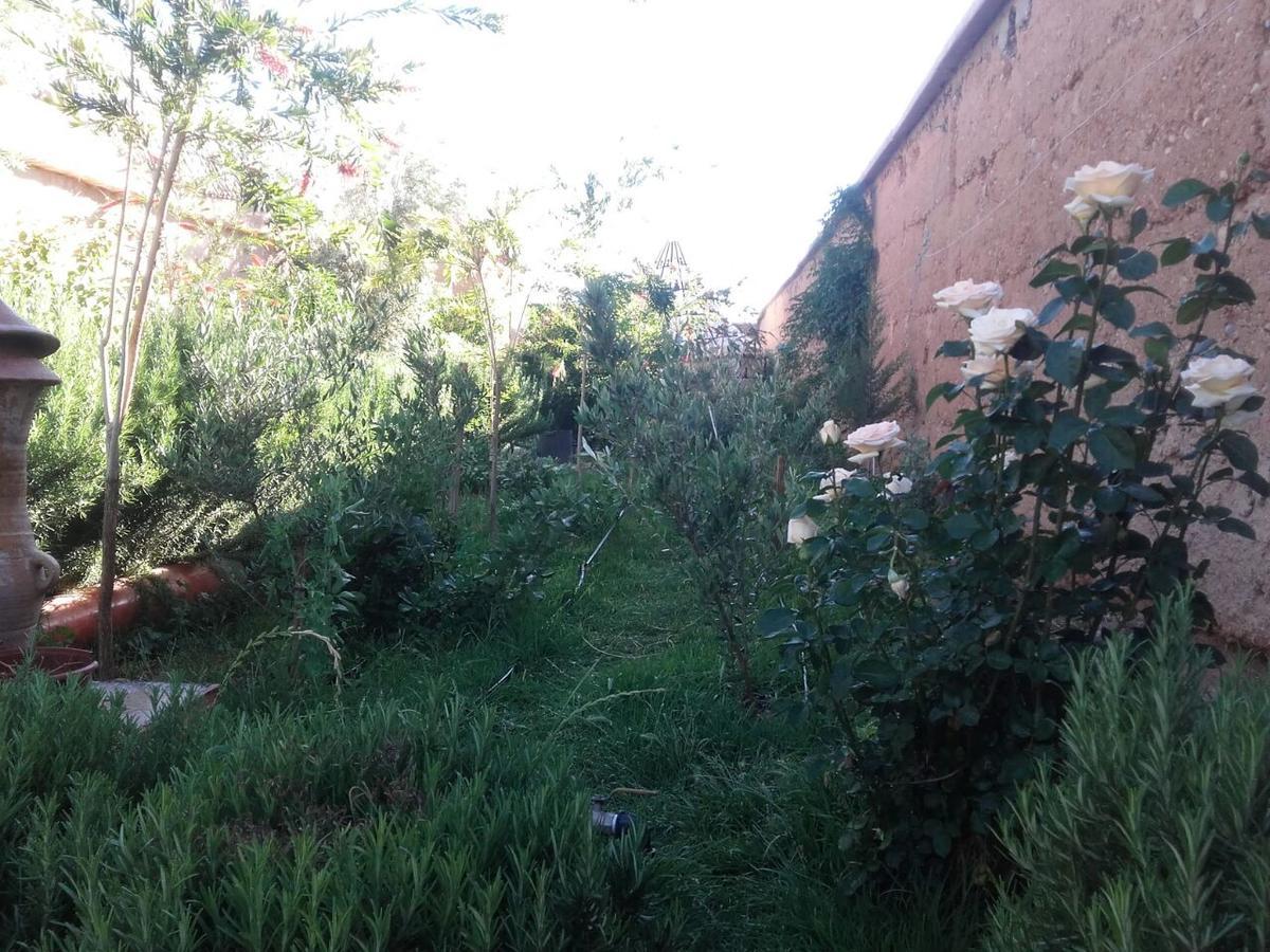 Auberge Toda Aït Igad 외부 사진